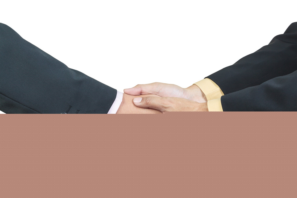 Shake hands and enjoy joy (Is shaking hands and enjoy joy an idiom)